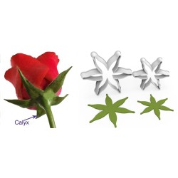 Rose Calyx Making Cutter Set 2 Pcs – 6 Leaf – 5cm