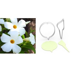 DIPLADENIA Flower Making Cutter Set 2 Pcs – 6cm
