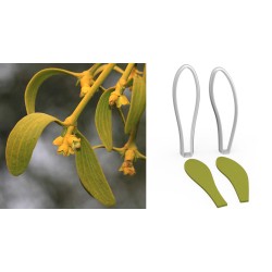 Mistletoe Flower Cutter Set 2 Pcs – 6cm