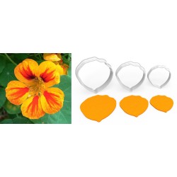 NASTURTIUM Big Flower Cutter Set 3 Pcs – 6cm