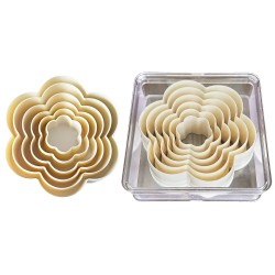 Volovan Set Boxed Bone - Daisy