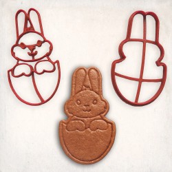 Baby Rabbit Detailed Cookie Cutter Set 2 pcs #RP12495
